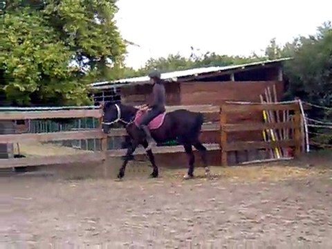 sans selle et sans filet