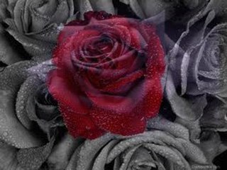 Erol Evgin - Beni Birak