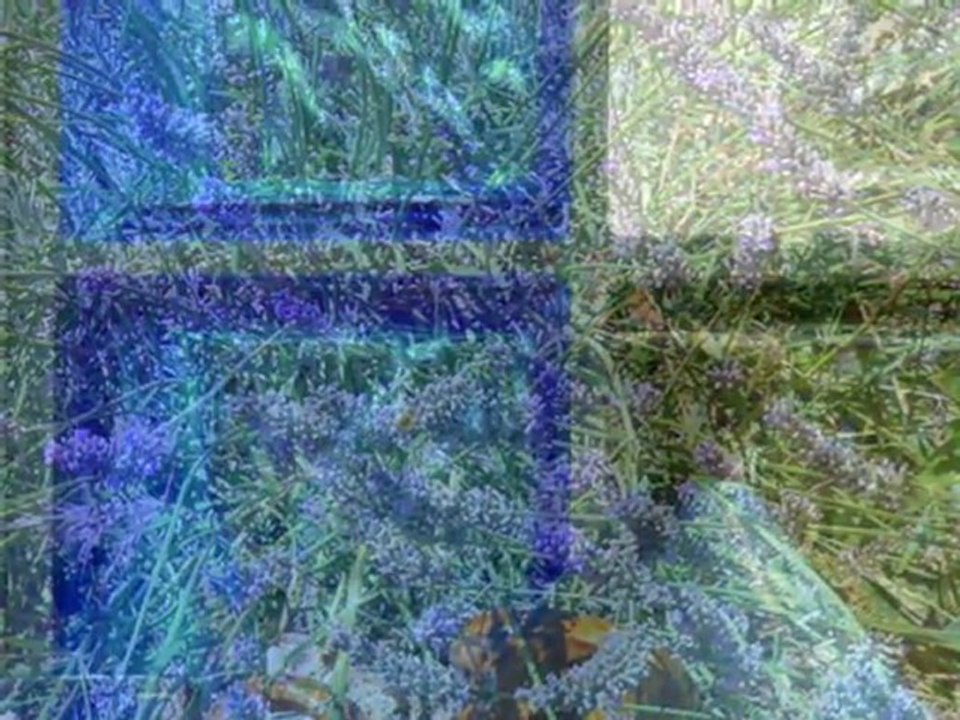 Paradis