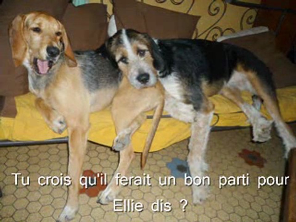 Eliot et Eloïse se marient le 15 Juillet 2011