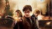 Harry Potter and the Deathly Hallows Part2 Full ISO Cracked [July 2011]