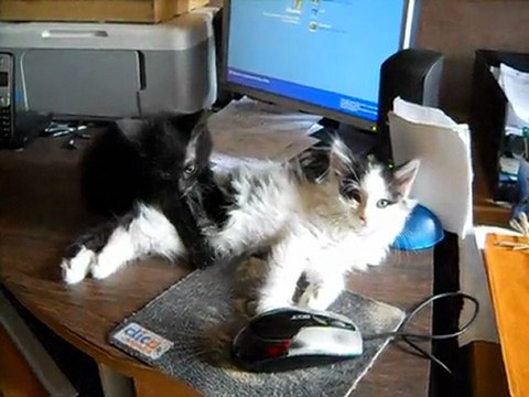 Hera pattoune Hermès