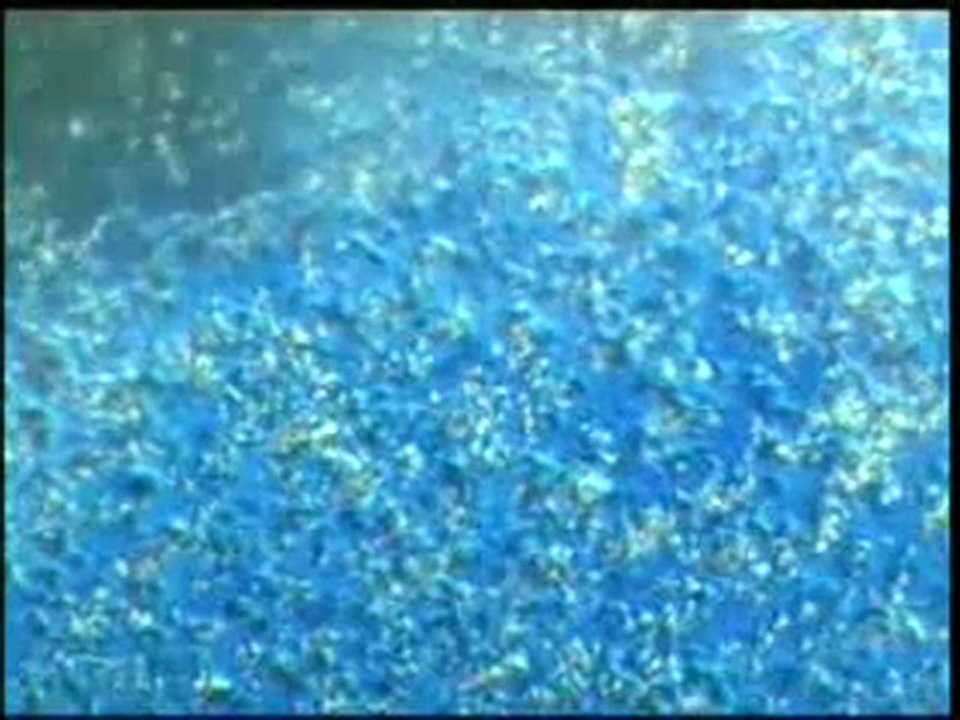 Kuran mucizeleri: Meniden bir damla