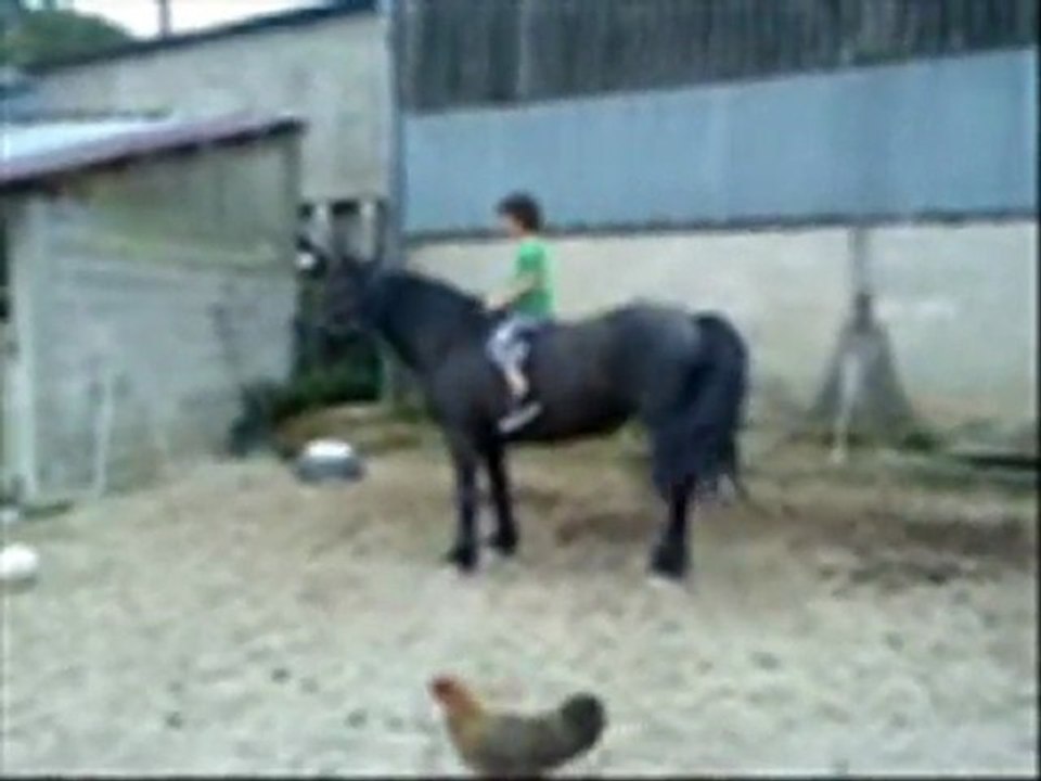 prinssece montée par un enfant