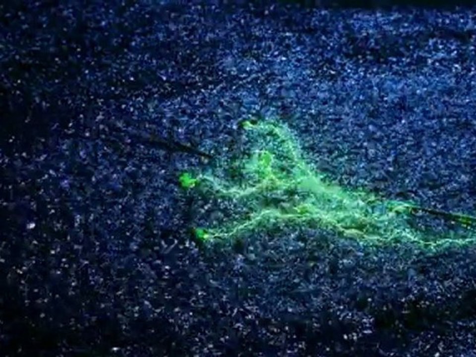 Adam Knight - Ian Somerhalder