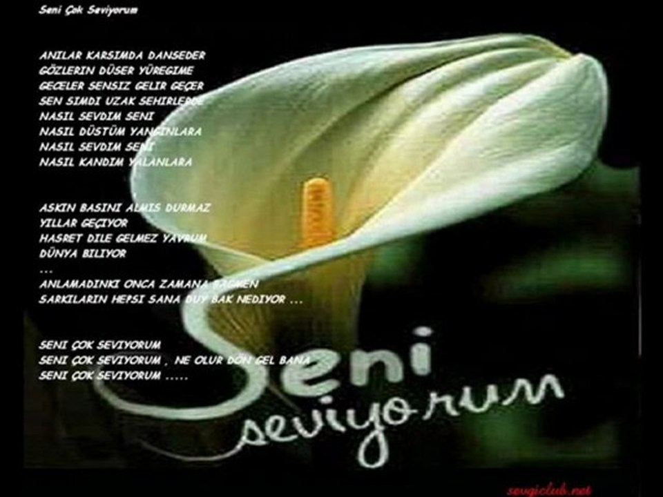 Ebru Gündeş - Vatan (2011)  süperrr