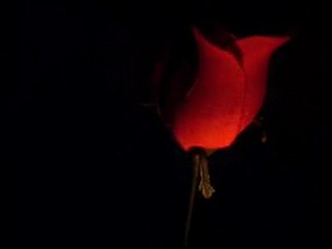 Müşfik Kenter & Orhan Veli - Yalnızlık Şiiri