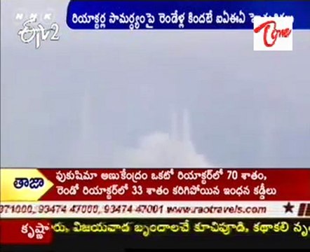 WikiLeaks Said Japan Warned Over Safety Of Nuclear Plants Two Years Ago