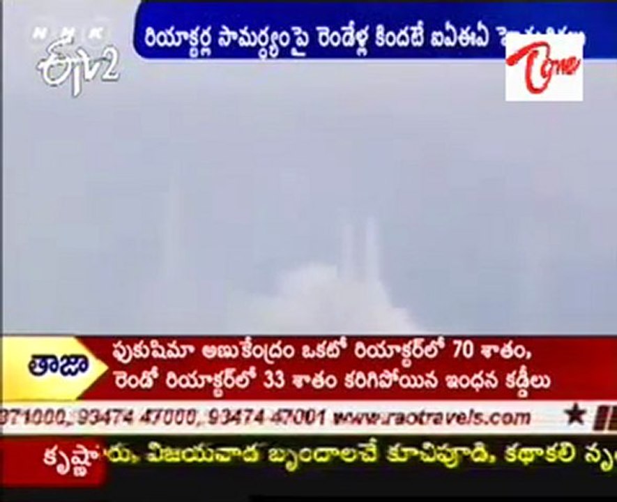 WikiLeaks Said Japan Warned Over Safety Of Nuclear Plants Two Years Ago