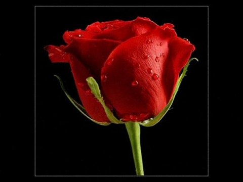 Grup Demsal Baran Bari