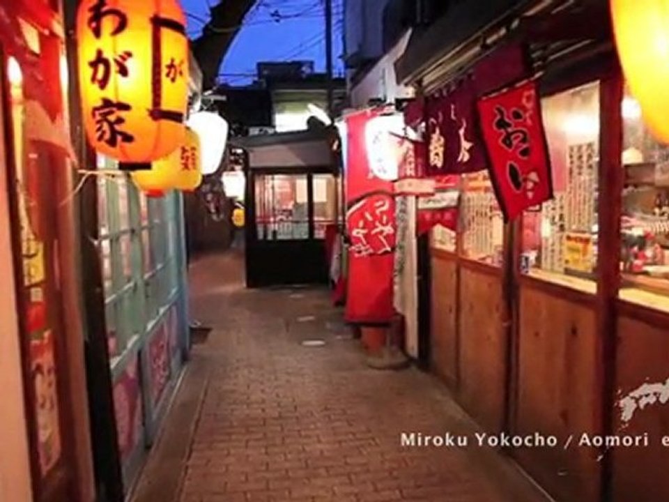 JAPAN 2011