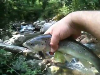 Esteron - Un Vallon Magique - Preview