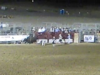 2011 Pictures of daphne and vegas pics 021