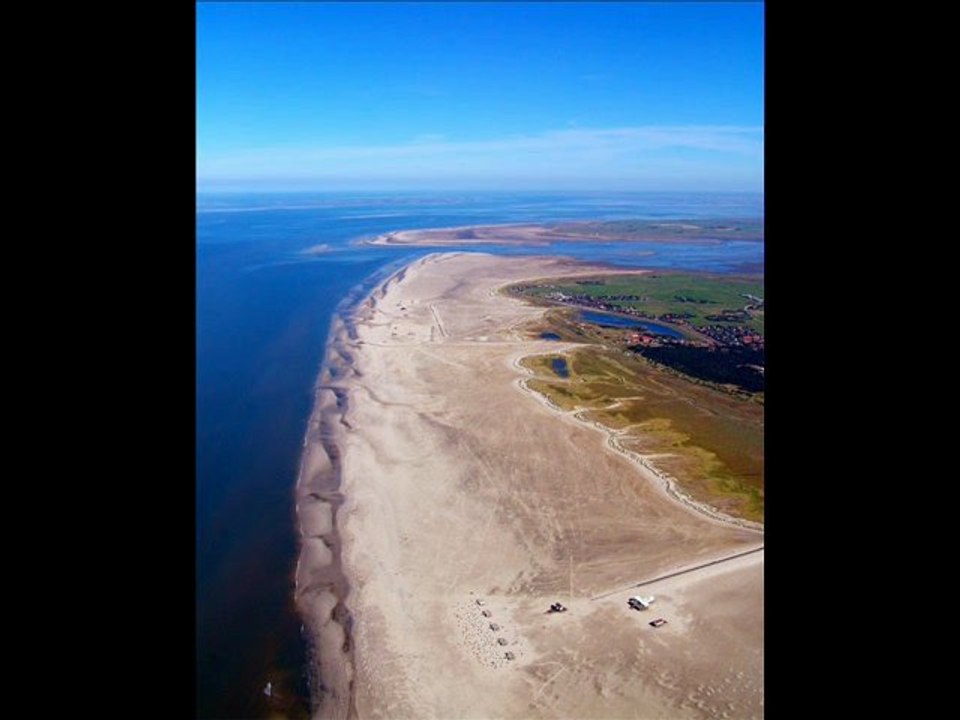 Cazou sie liebt dich cover