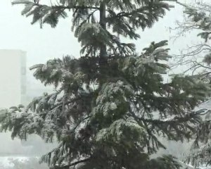 Proverbe Neige devinette