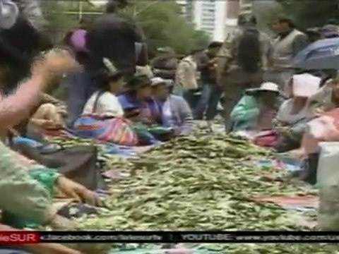 En defensa del uso legal de la hoja de coca: Bolivia