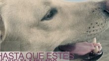 Video kenia