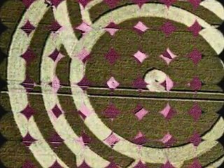 New Cropcircle Milk Hill, Wiltshire 6 July 2011