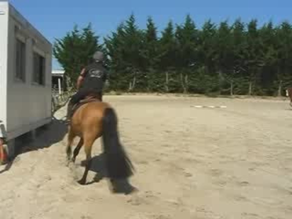 MOV071