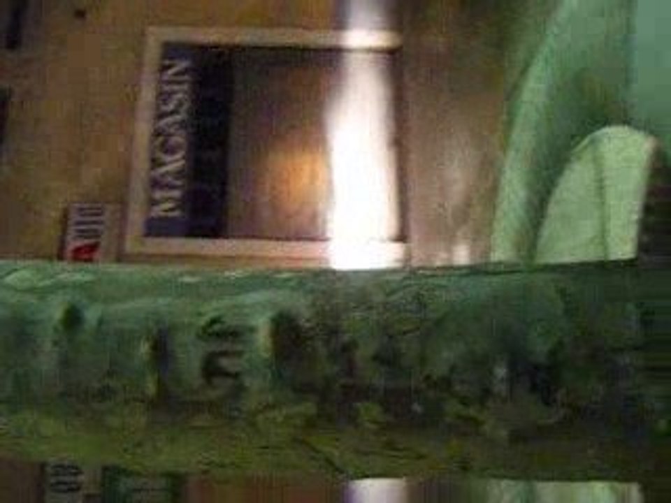 pepette contre un arbre