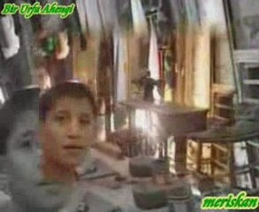 URFA AHENGİ-BAHÇEYE KUZU GİRDİ