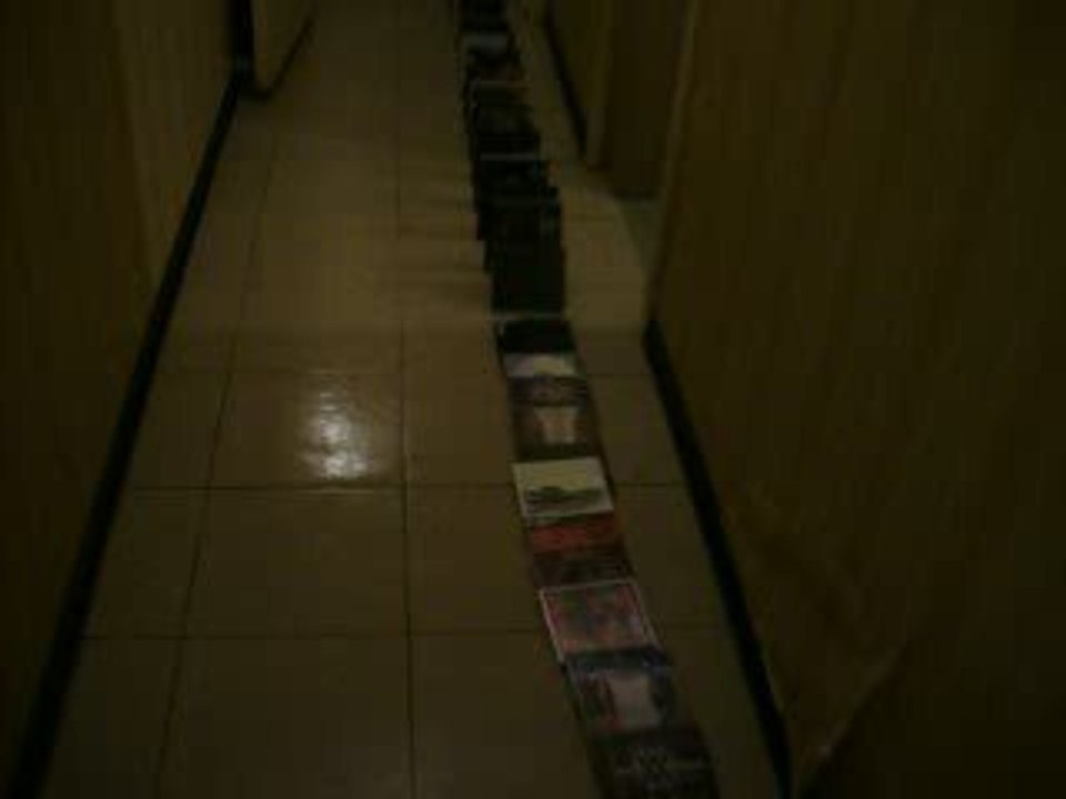 domino day night