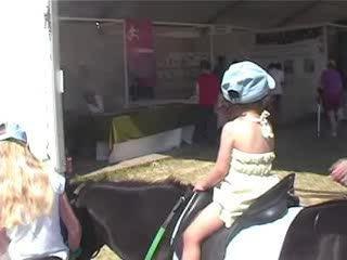 Assina terres en fêtes