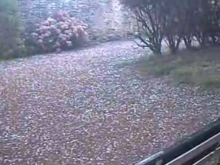 averse de gréle au bois d'oingt  du 22 juillet  2009