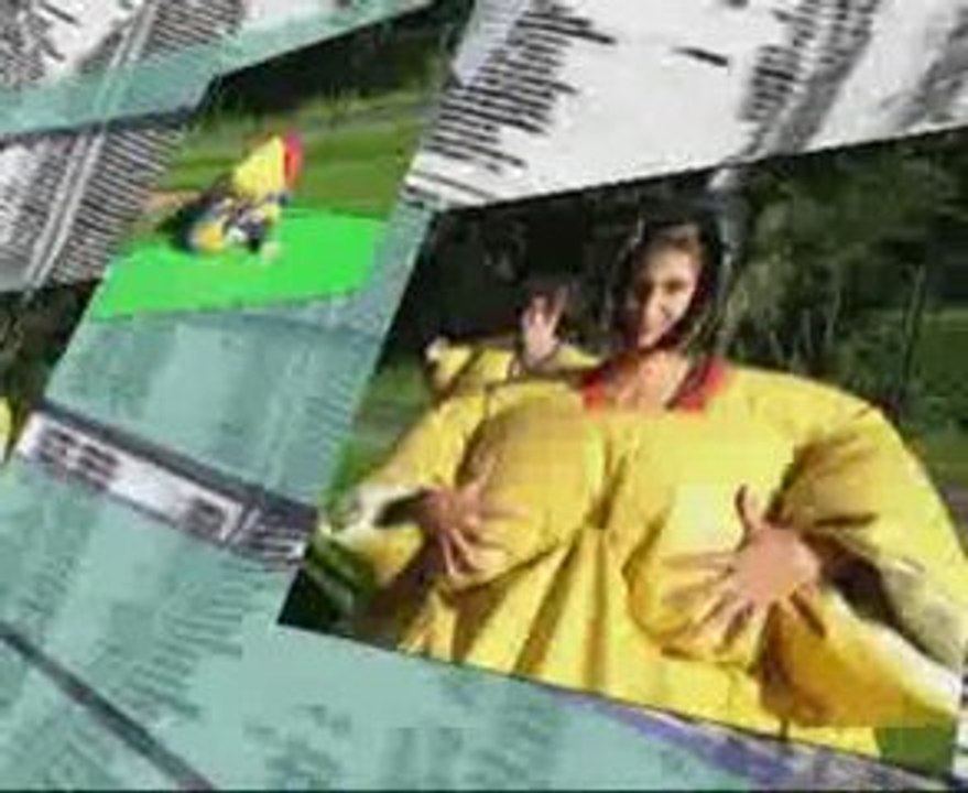 Sumos à l'ile verte