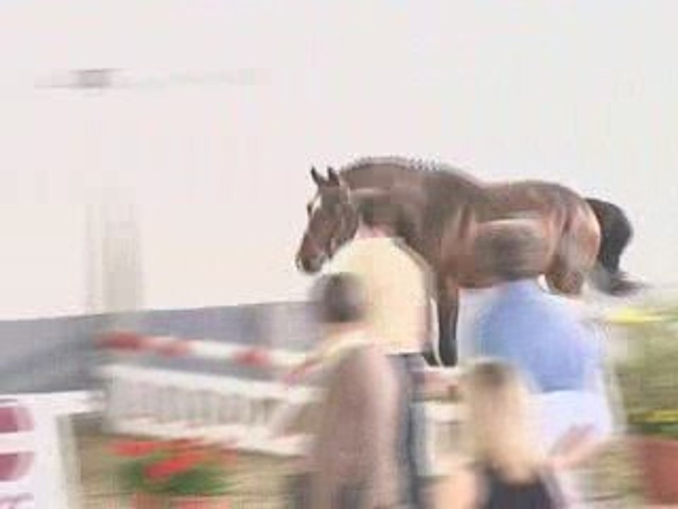 Clovys Sélection FENCES