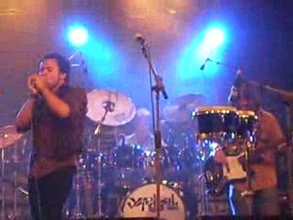 The Yardbirds - Please Dont Tell Me About the News Live 2009