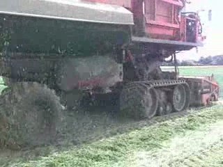 récolte pois sb10000