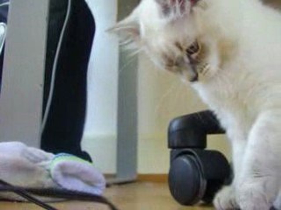 mont chat