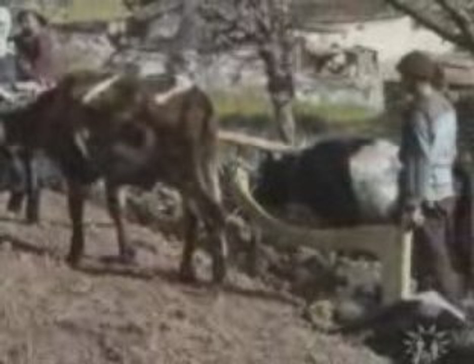 (old) _svaneti _ georgia