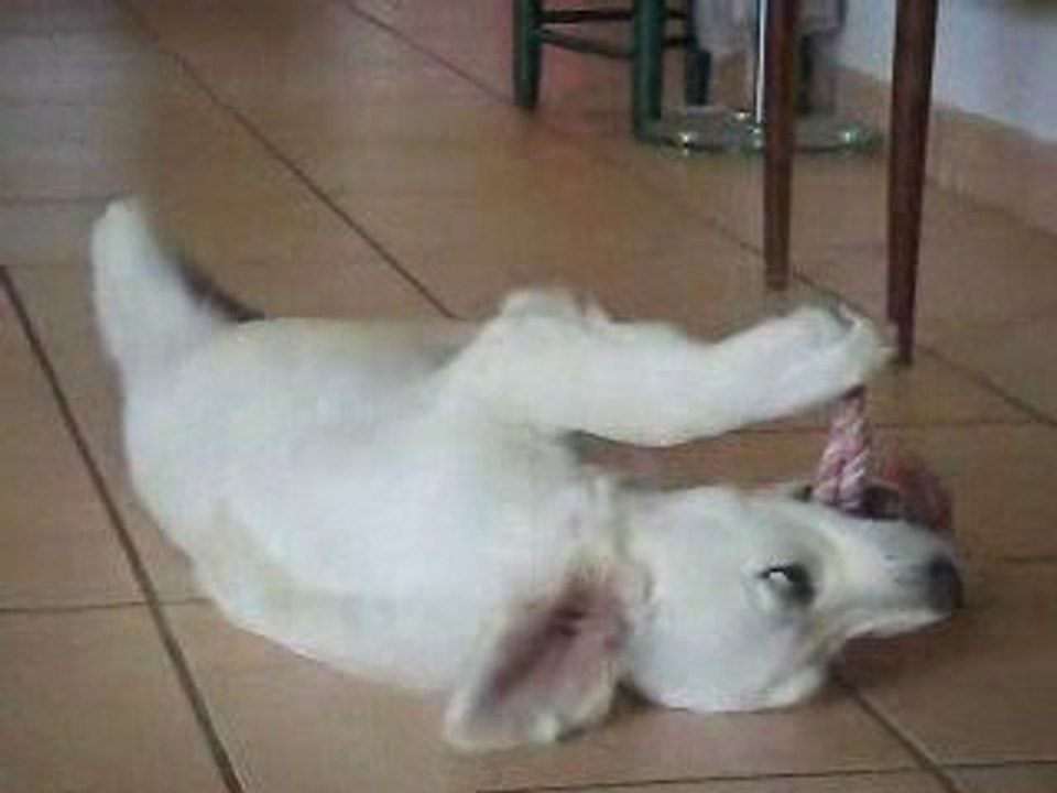 Eden 4 mois joue avec sa corde