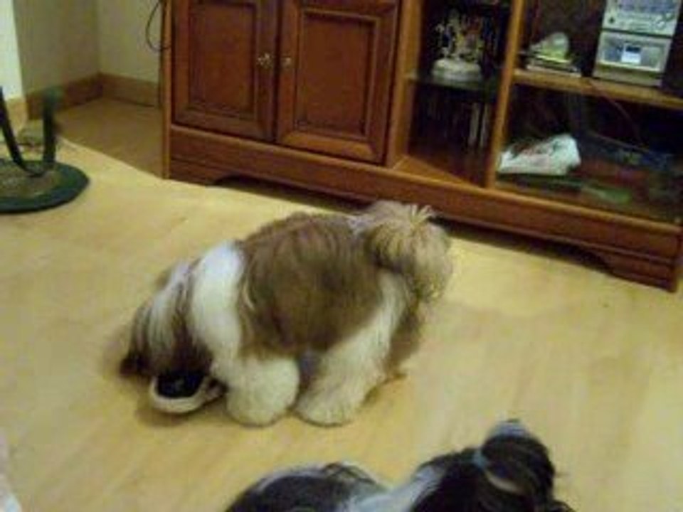 Saya et le chausson magique