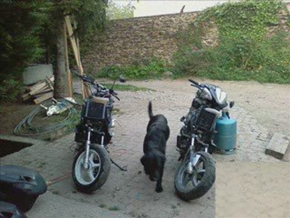 Mes scoots ... ^^