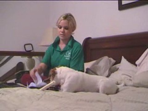 Make Money Online-NOW!!! (Make Money Online)(Making Money)