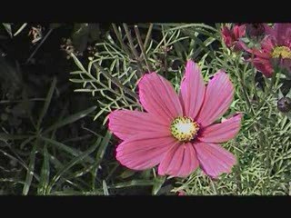 fascinant chiffre 7 (3/3)