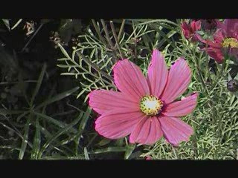 fascinant chiffre 7 (3/3)