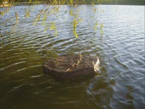 ULTRASONIC POND ALGAE CONTROL