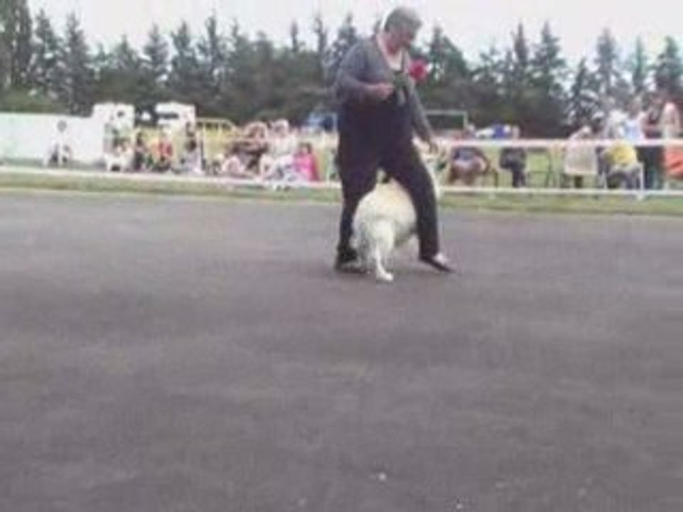 OBR STGB 1ER PASSAGE