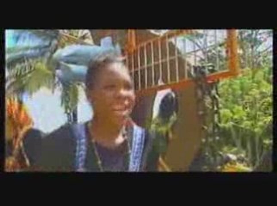 Les Belokas - lévé / Fanm Djok