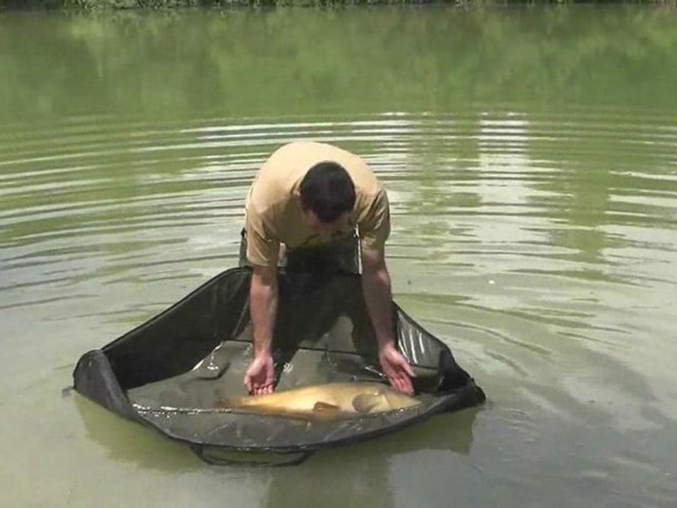 Pêche à la carpe-Explication-16:9 Full HD