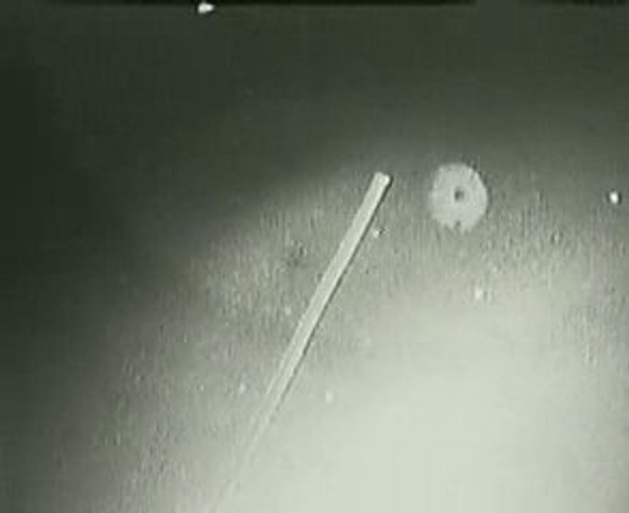 Ovni Nasa mission STS-75 février mars 1996