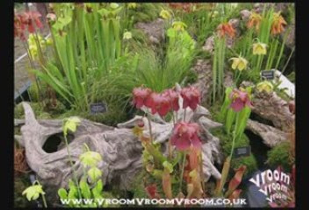 London Chelsea City Amazing Places