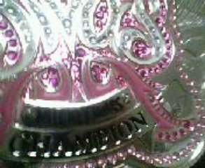 wwe divas belt with written nameplate
