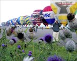 Le Lorraine Mondial Air Ballons décolle à Chambley