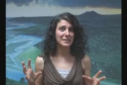 Frank Furness | Video testimonial from Friends of the Earth