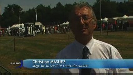 Fête de la chasse à La Chaize-Le-Vicomte